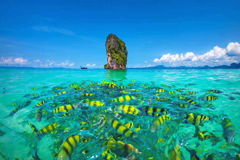 تور تفریحی پوکت