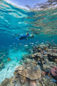 What to do in Maldives for 3 days