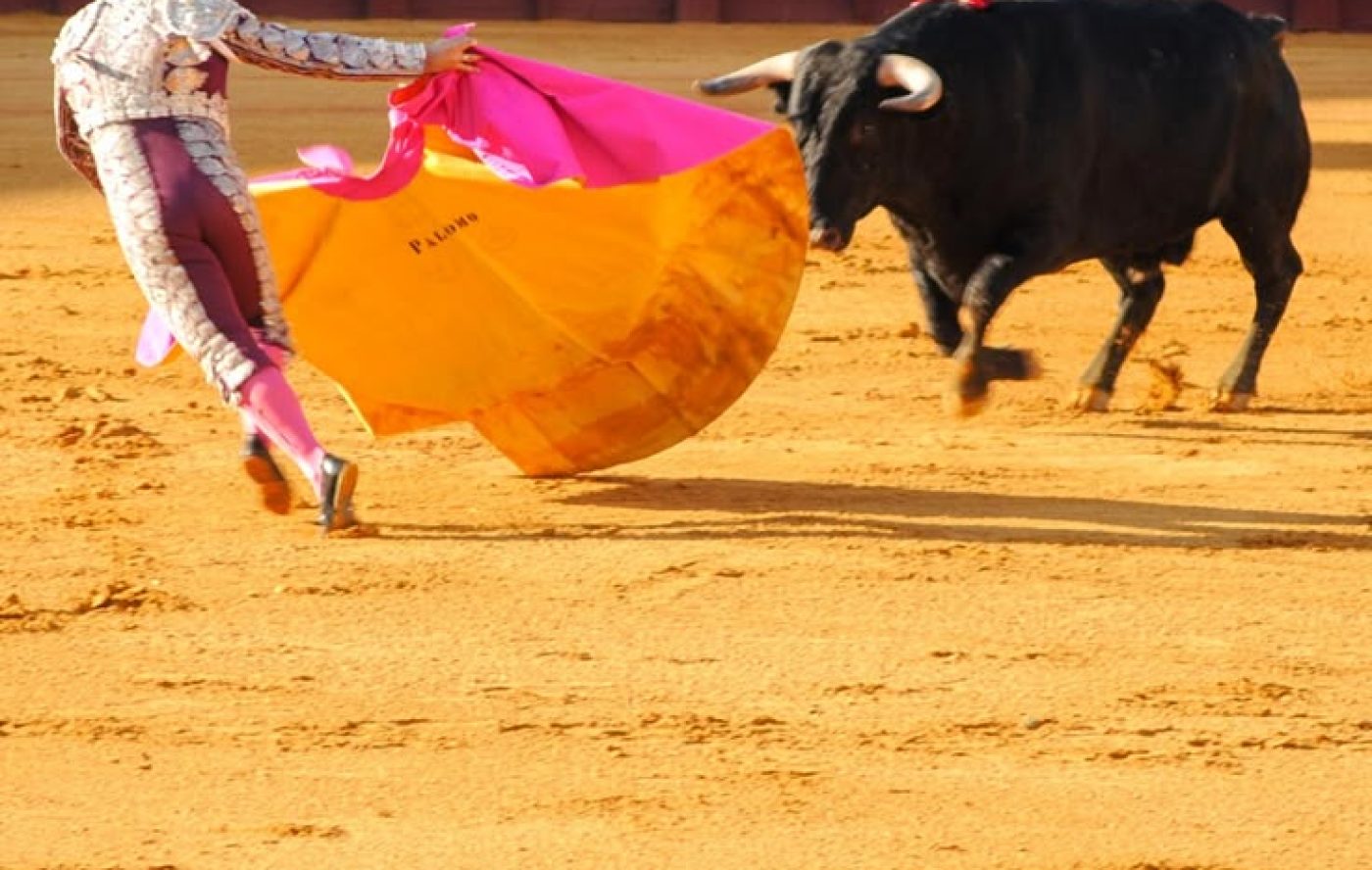 Bull Fighting in Sevilla, Spain