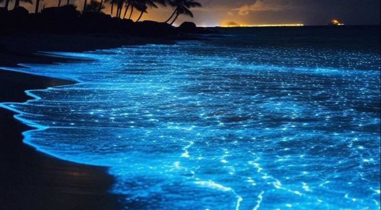 Starly sea in Maldives