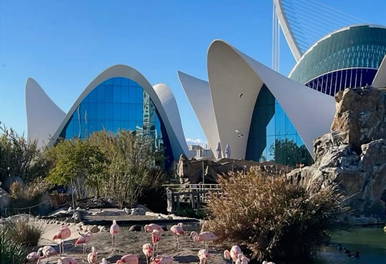 #oceanographic #valencia